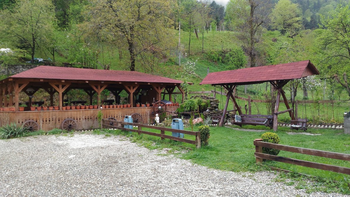 Pensiunea Domnescu - foto 4