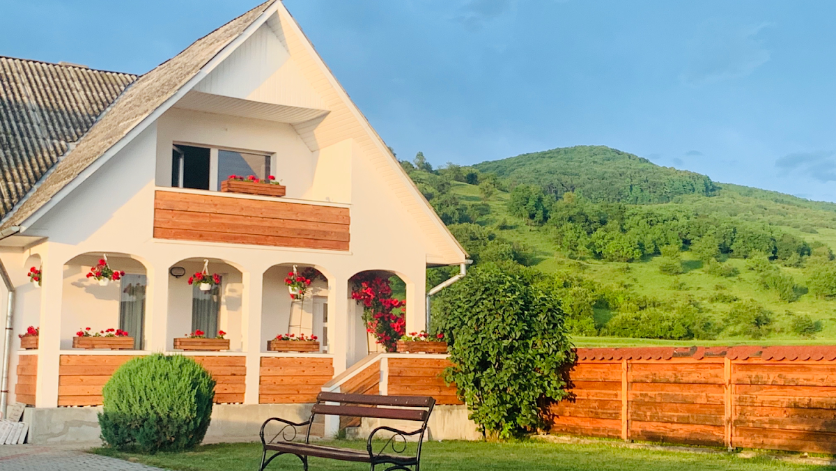 Pensiunea Domnika - foto 1