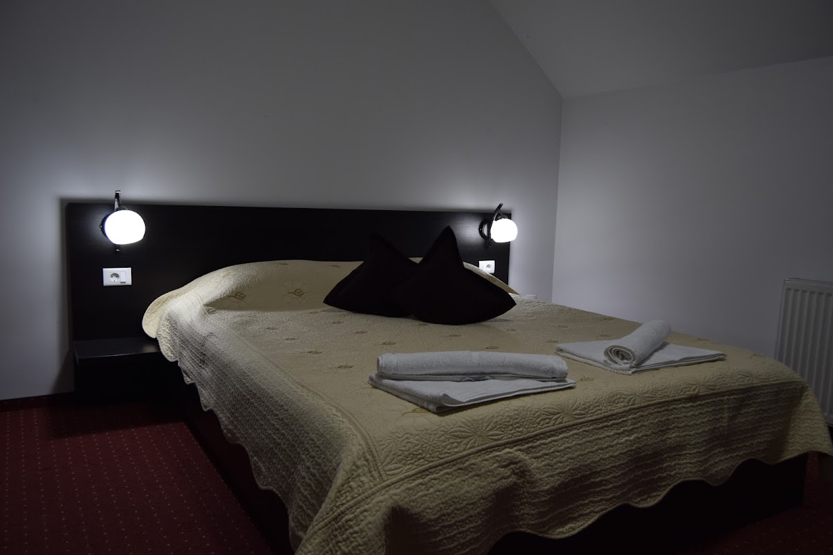 Pensiunea Domnika - foto 2