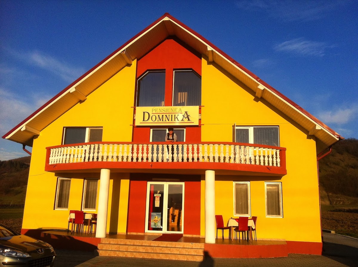 Pensiunea Domnika - foto 5