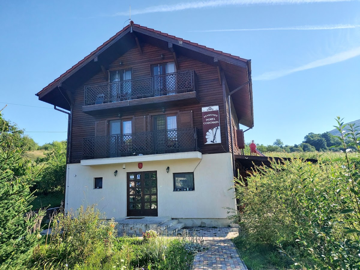 Pensiunea Dorel Codoban, Lazuri