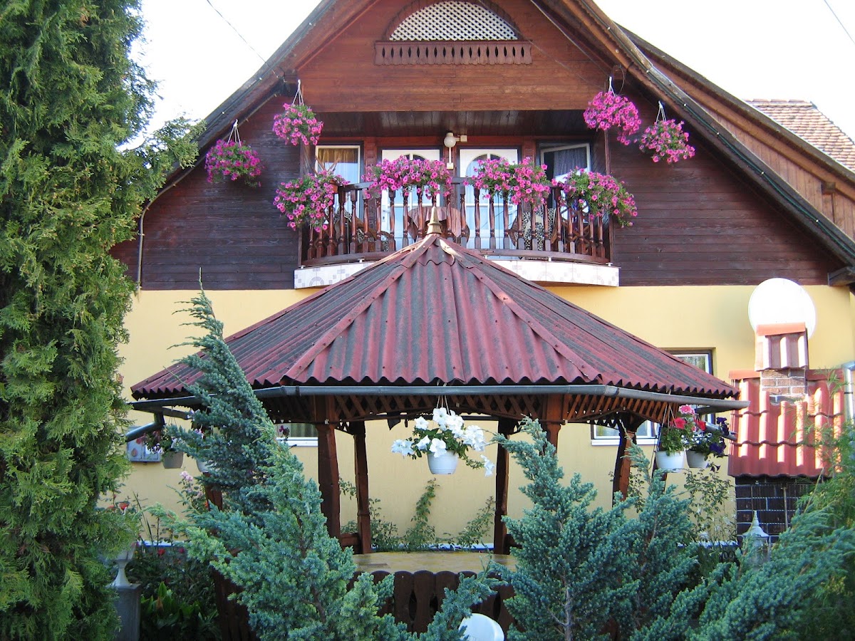 Pensiunea Dorina