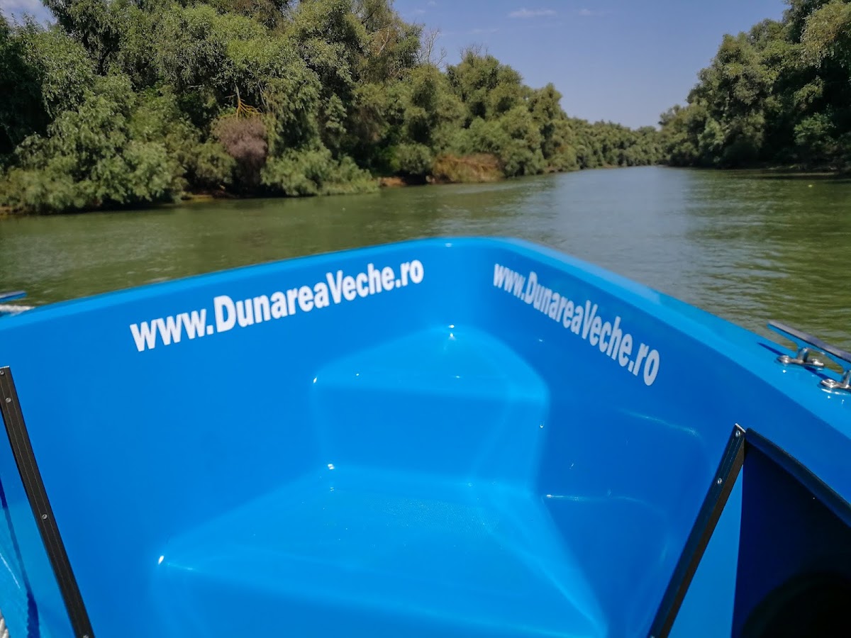 Pensiunea Dunărea Veche - foto 3