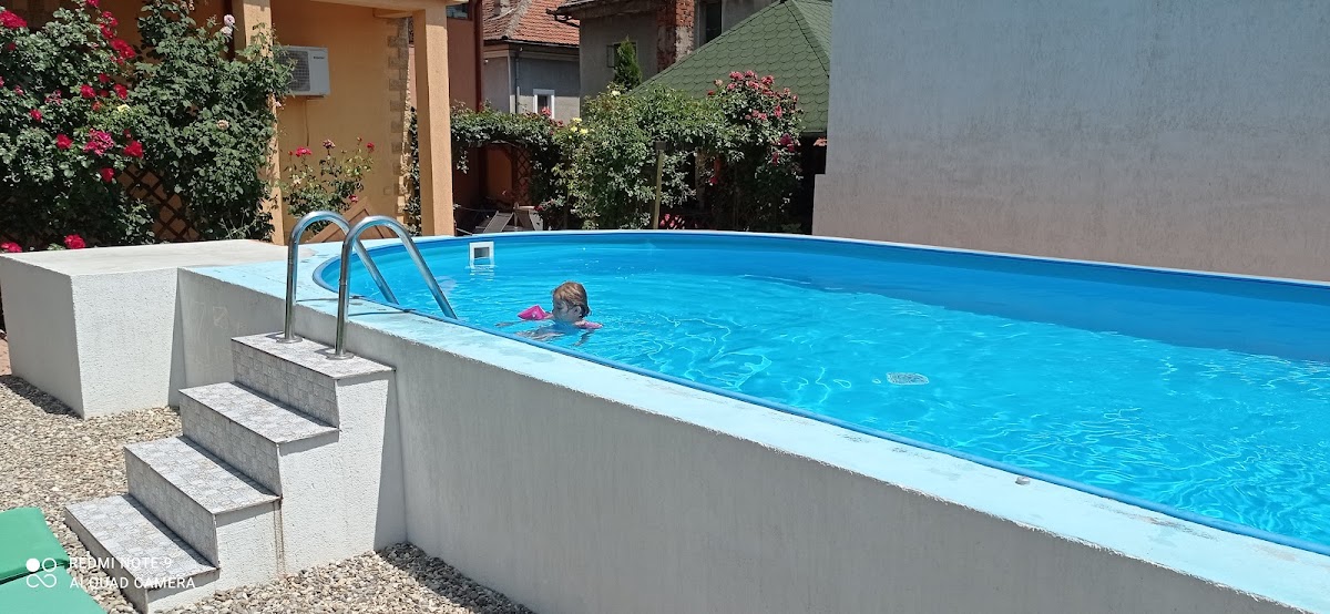 Pensiunea Dunavis - foto 3