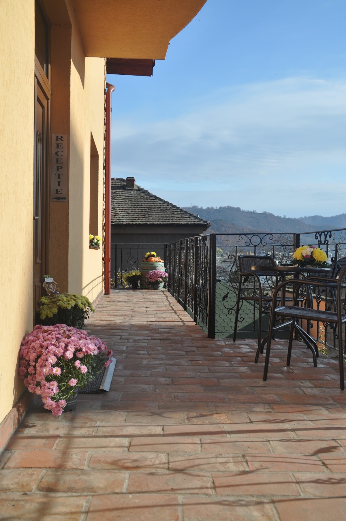 Pensiunea Dunavis - foto 5