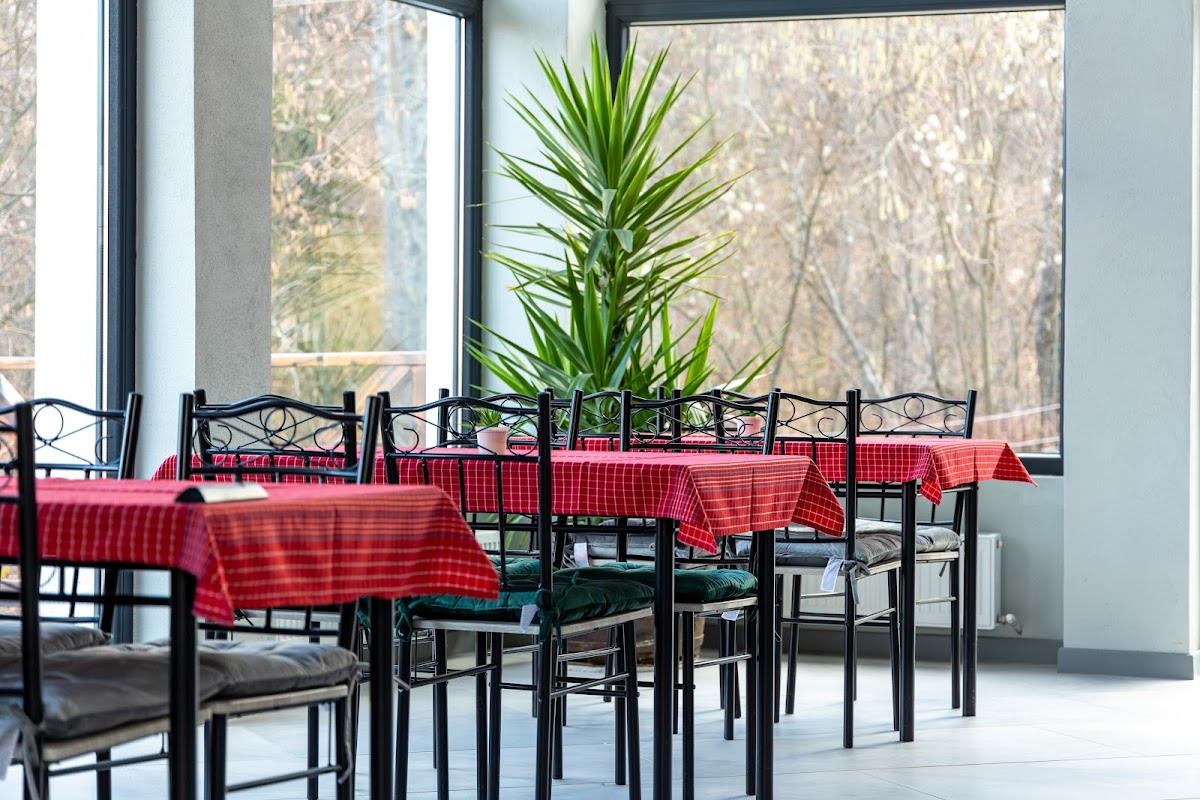 Pensiunea EdMont - foto 4