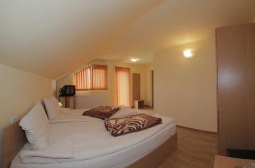 Pensiunea Elena Sebis - foto 2