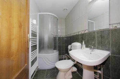 Pensiunea Elena Sebis - foto 4