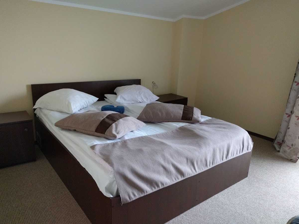 Pensiunea Elisabeta - foto 2