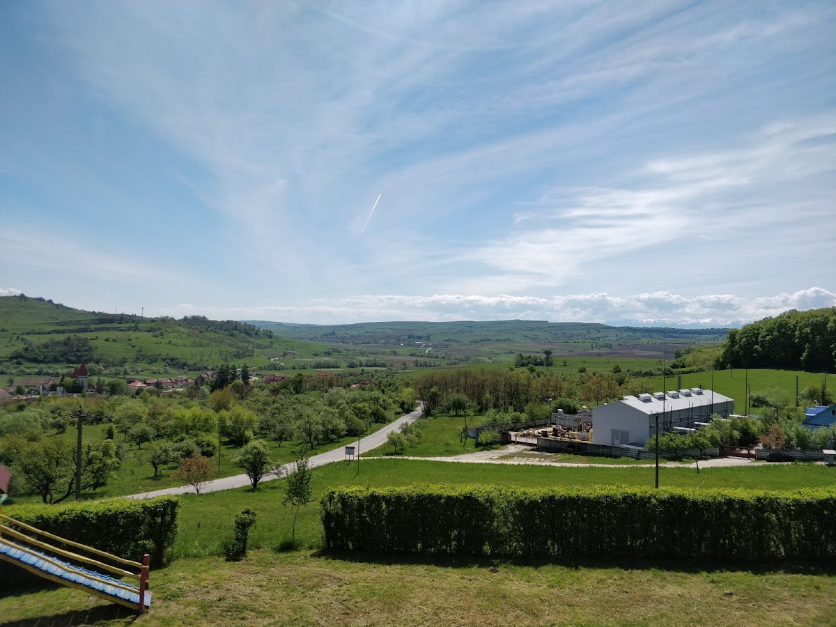 Pensiunea Elisabeta - foto 5