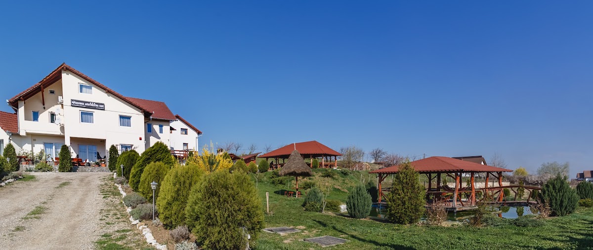 Pensiunea Faur - foto 5