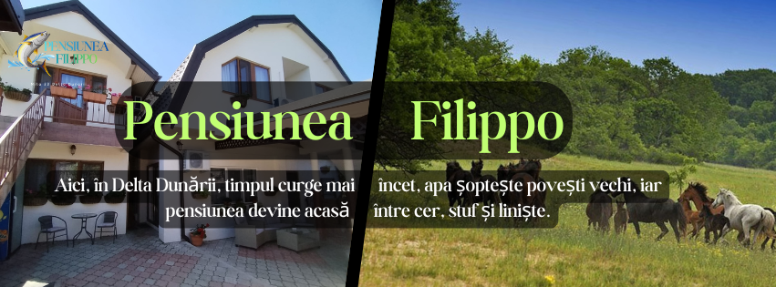 Pensiunea Filippo - foto 4