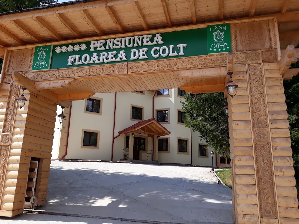Pensiunea Floarea de Colț