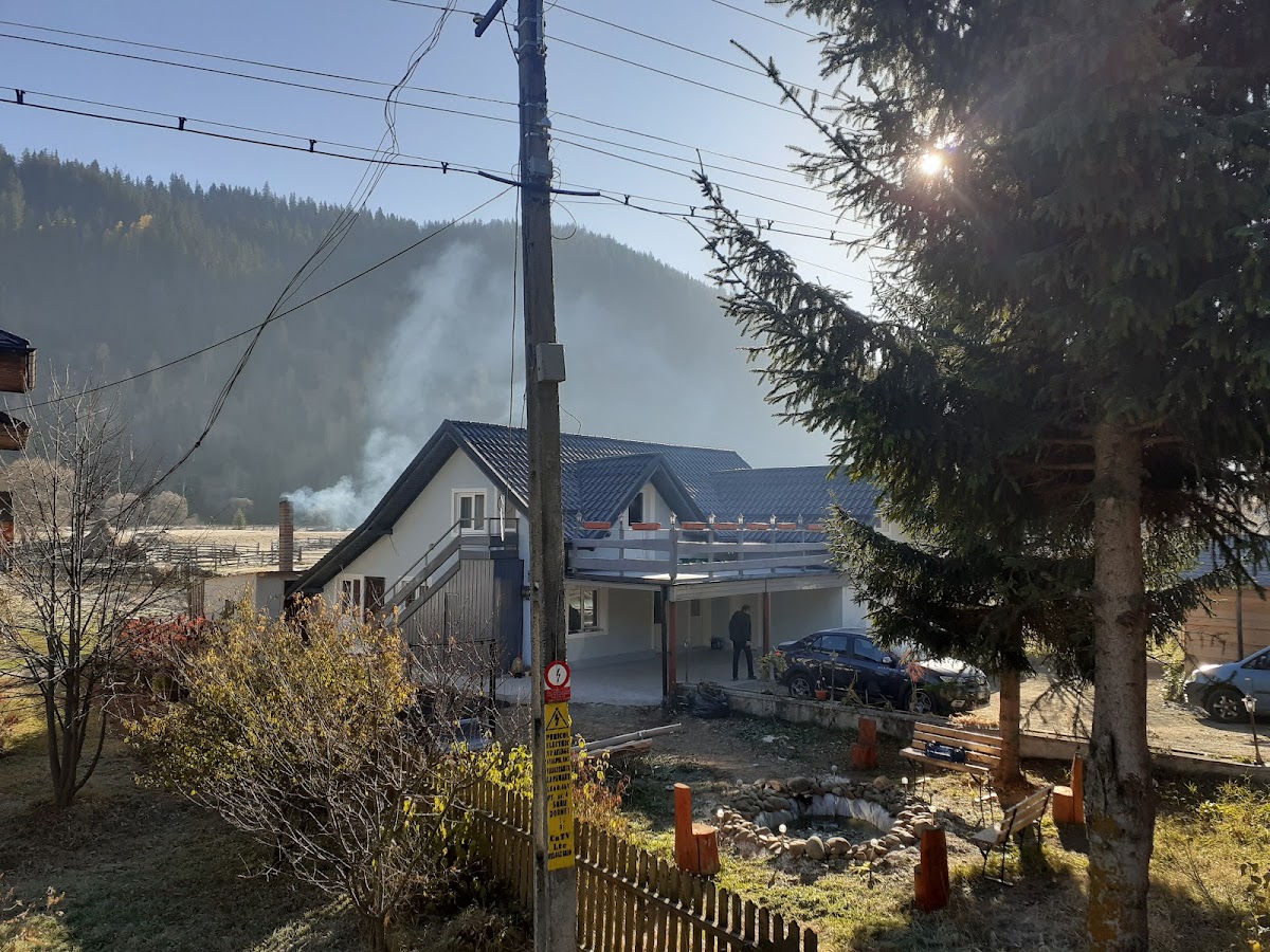 Pensiunea Floarea Dornei - foto 1