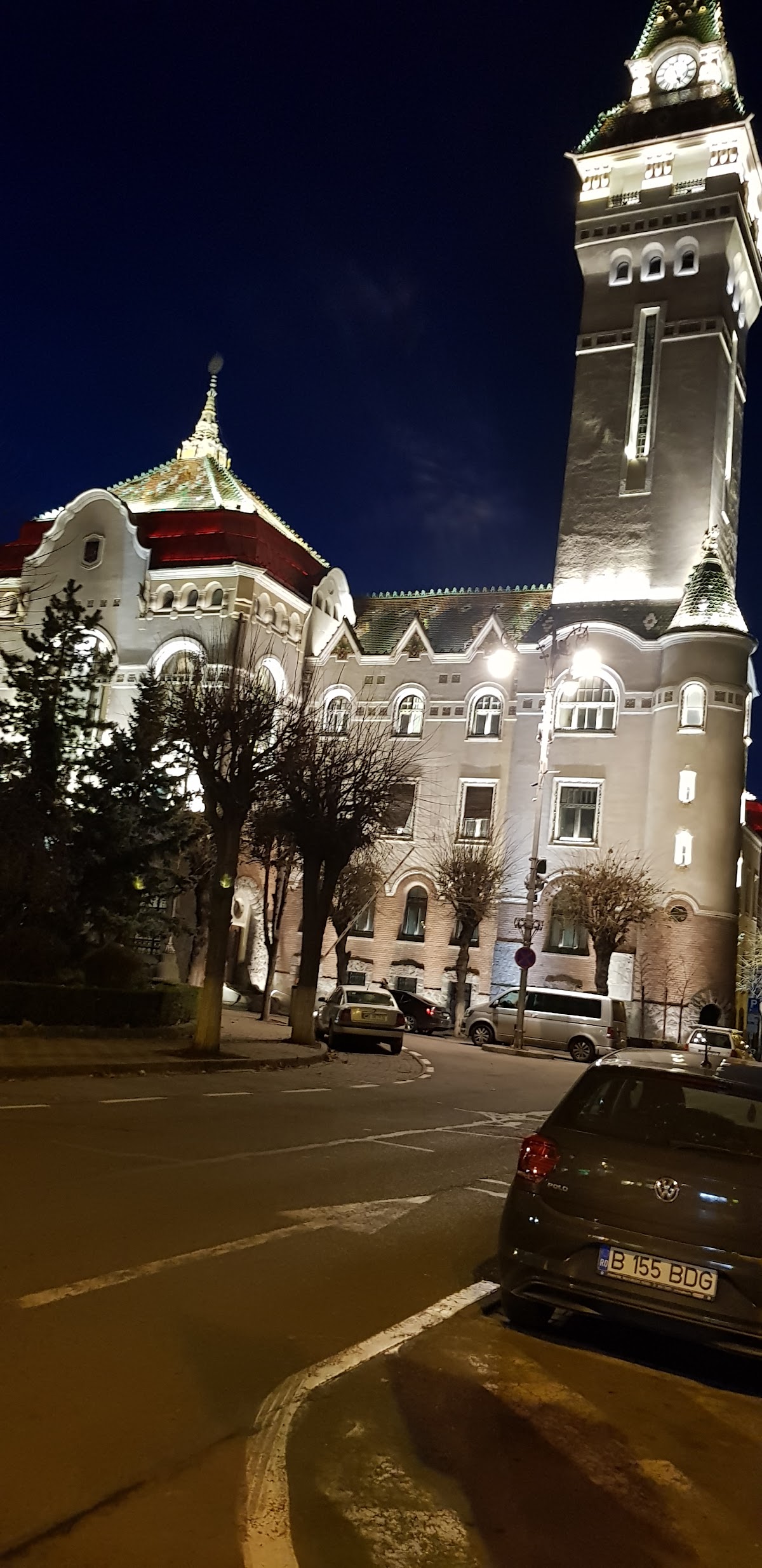 Pensiunea Flora, Târgu Mureş