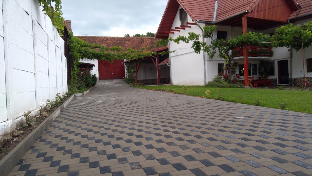 Pensiunea Flori Sibiel - foto 1