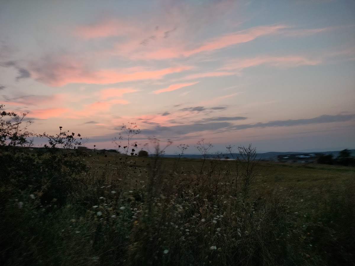 Pensiunea Fratii Iancu