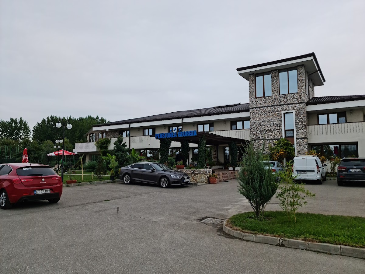Pensiunea Georgia