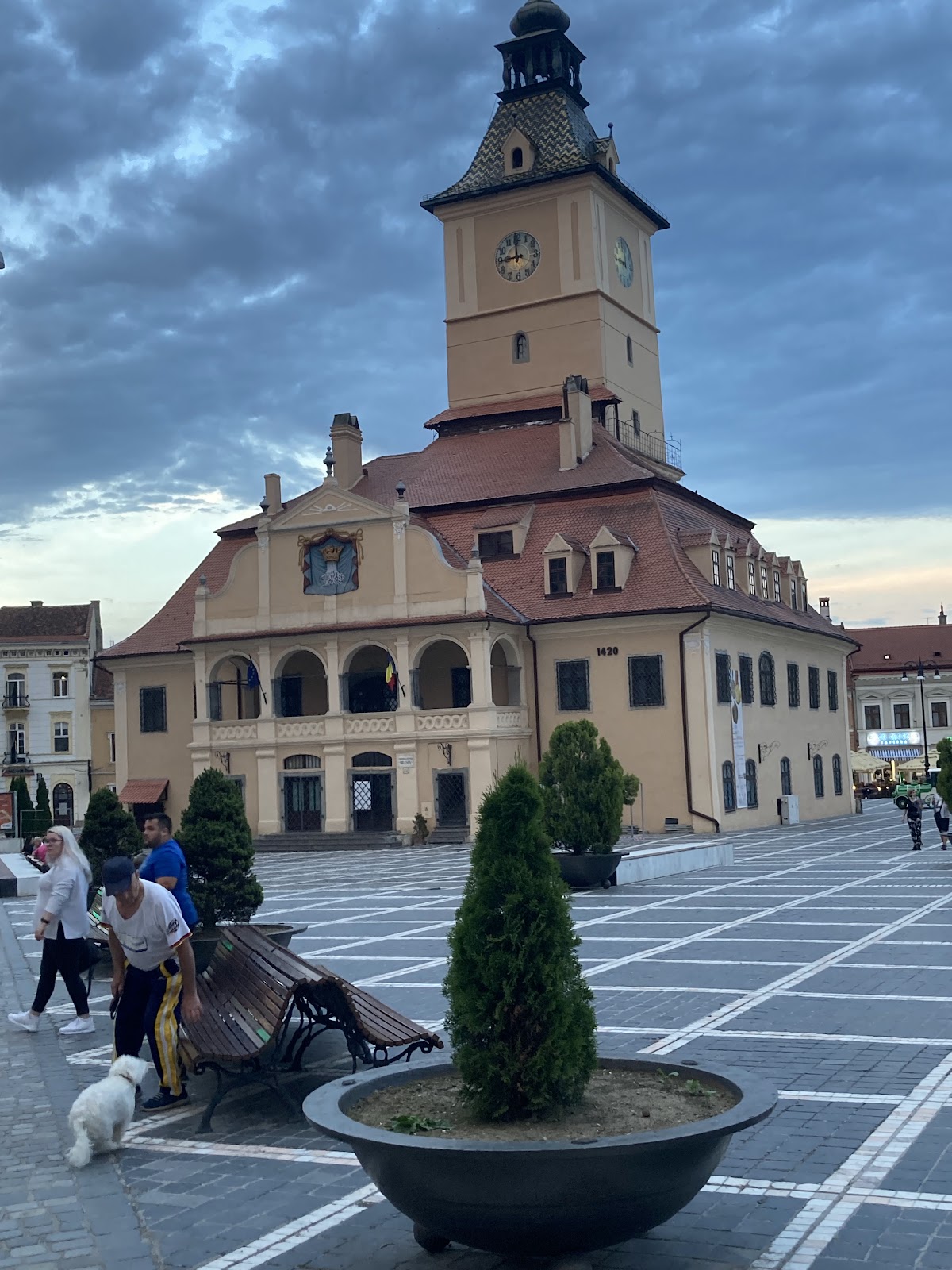 Pensiunea Georgică