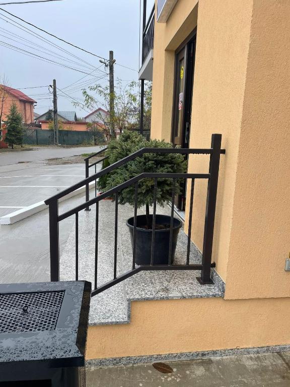 Pensiunea Giulia - foto 5