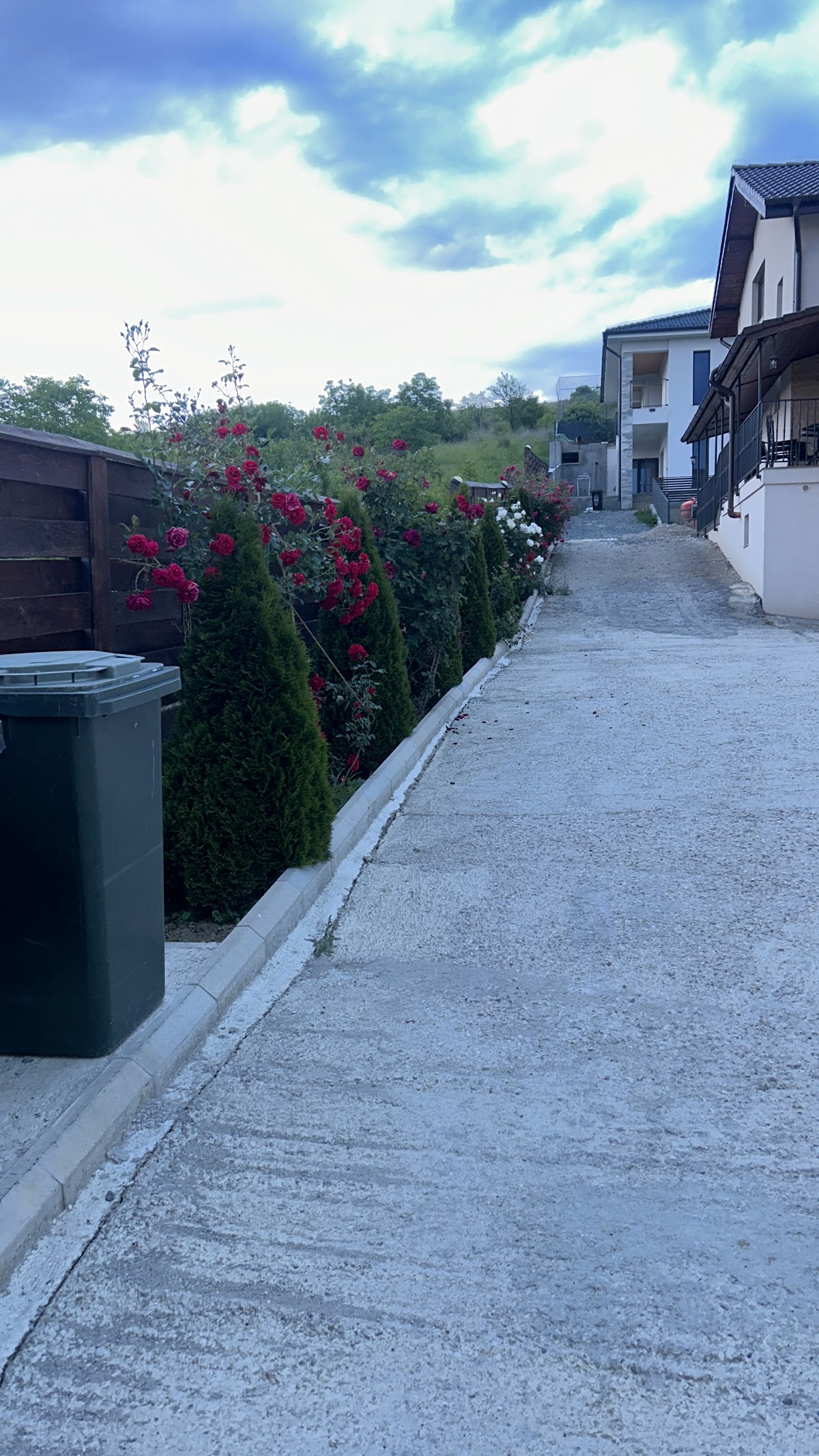 Pensiunea Giulia Home și Parcare Aeroport Cluj - foto 1