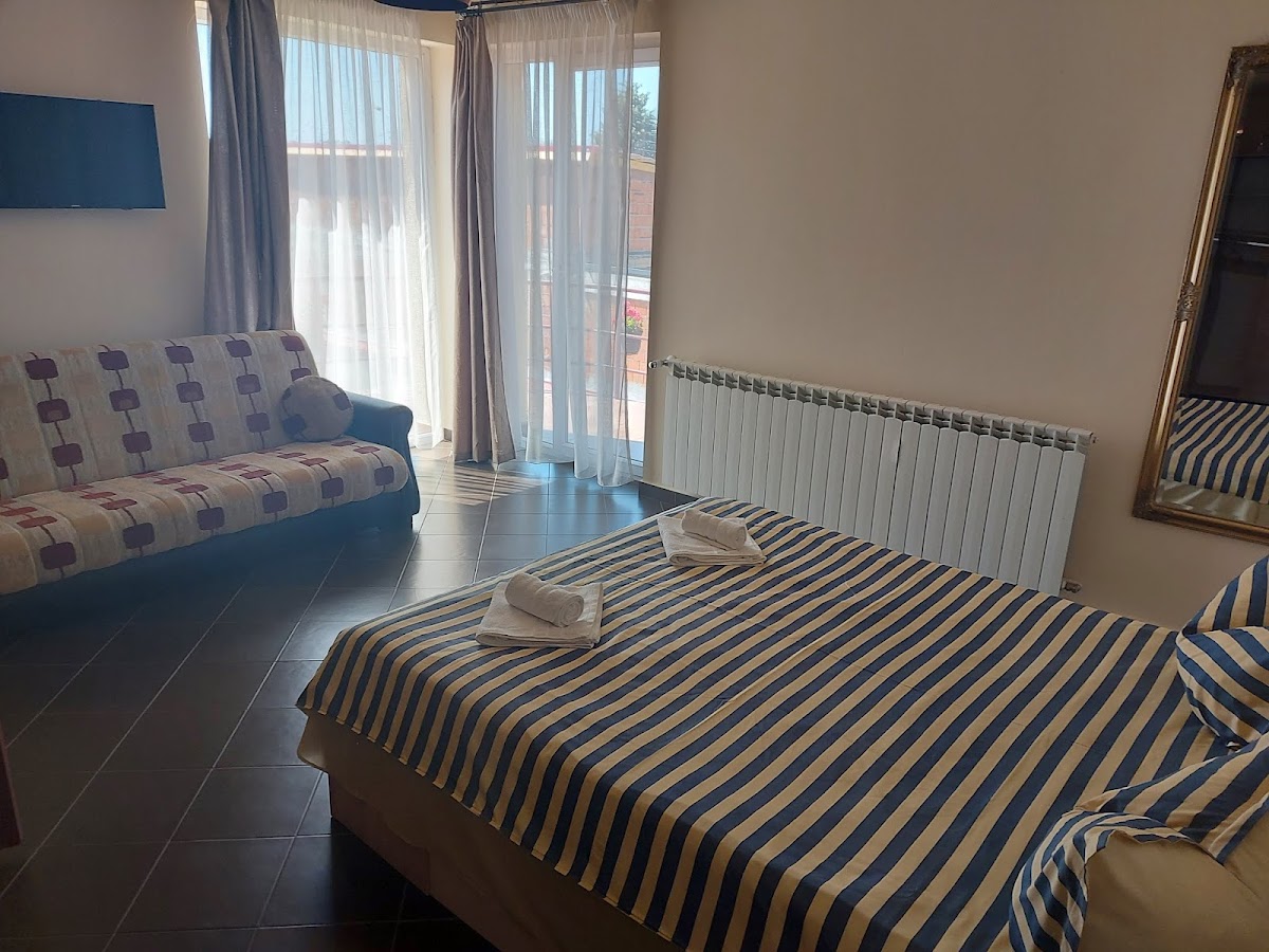 Pensiunea Grecu - foto 2