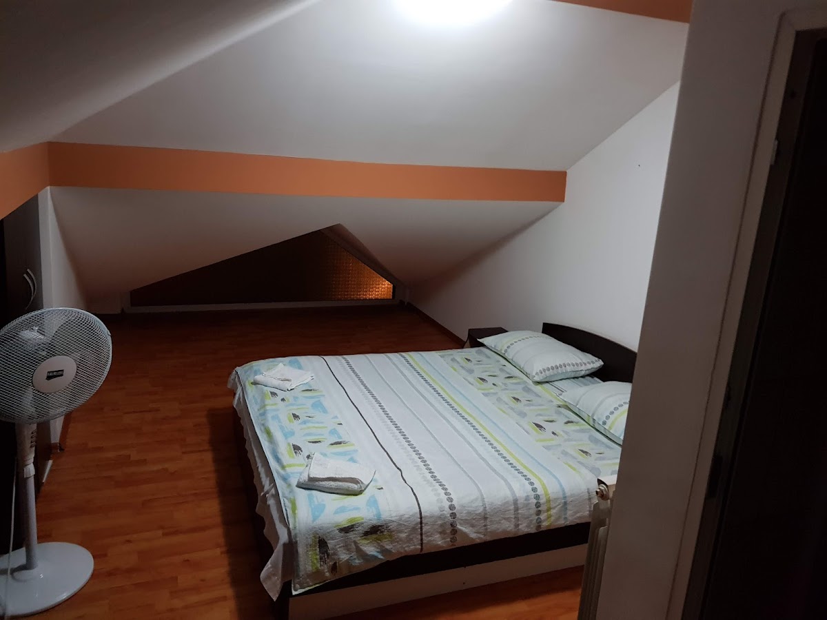 Pensiunea Grecu - foto 5