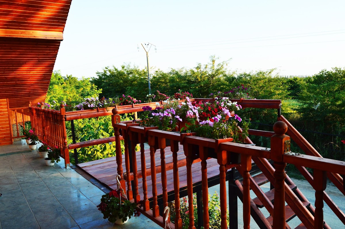 Pensiunea Happy Flowers - cazare comuna Greci, Greci