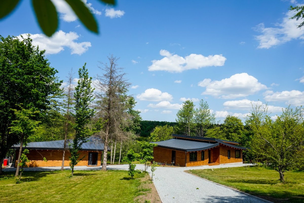 Pensiunea Hardic - foto 4