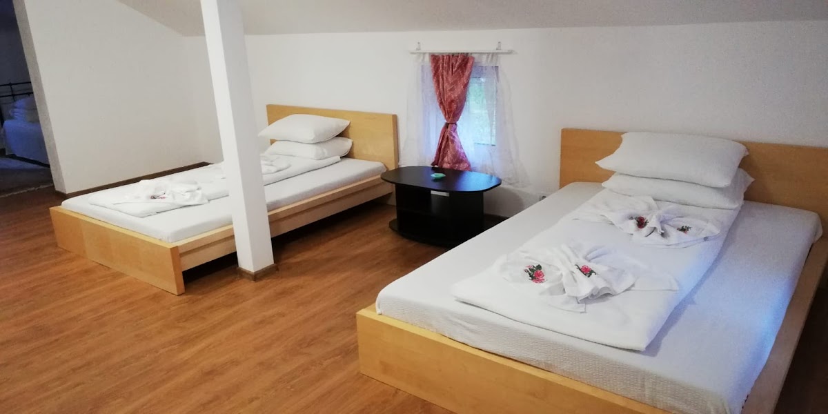 Pensiunea HORIA - foto 2