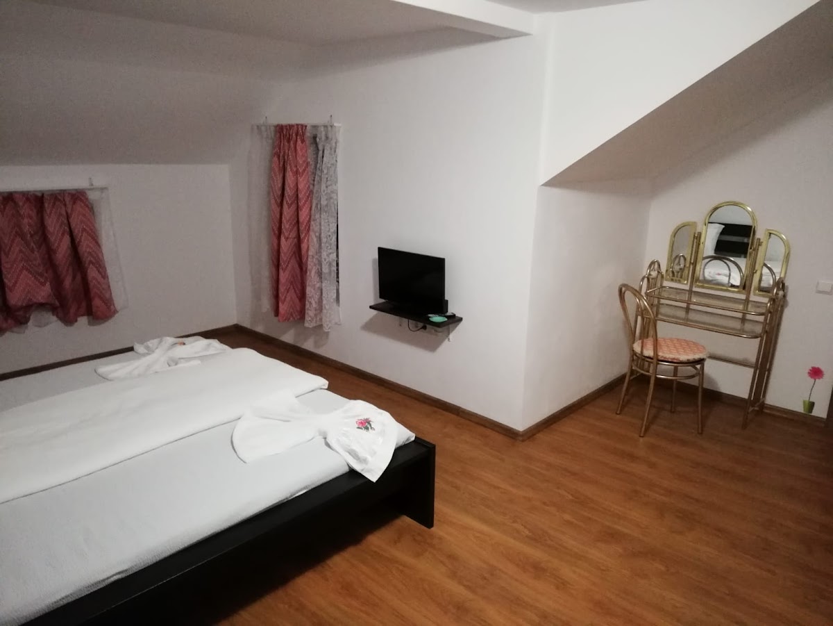 Pensiunea HORIA - foto 5