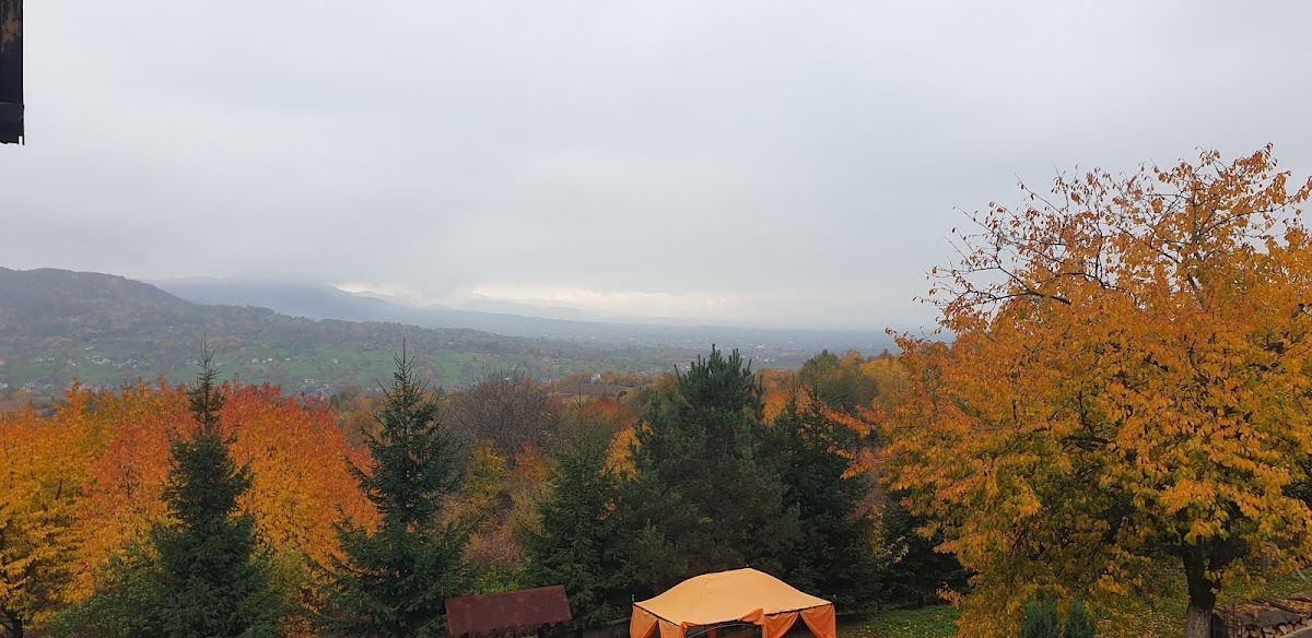 Pensiunea Huta Certeze - foto 4
