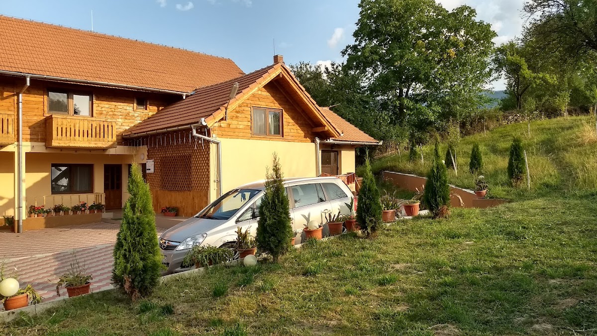 Pensiunea Iancu Malaiesti