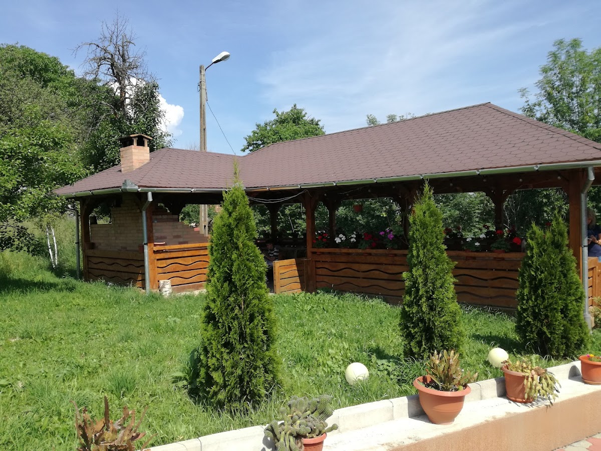 Pensiunea Iancu Malaiesti