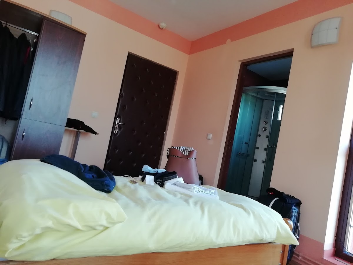 Pensiunea Ice - foto 2