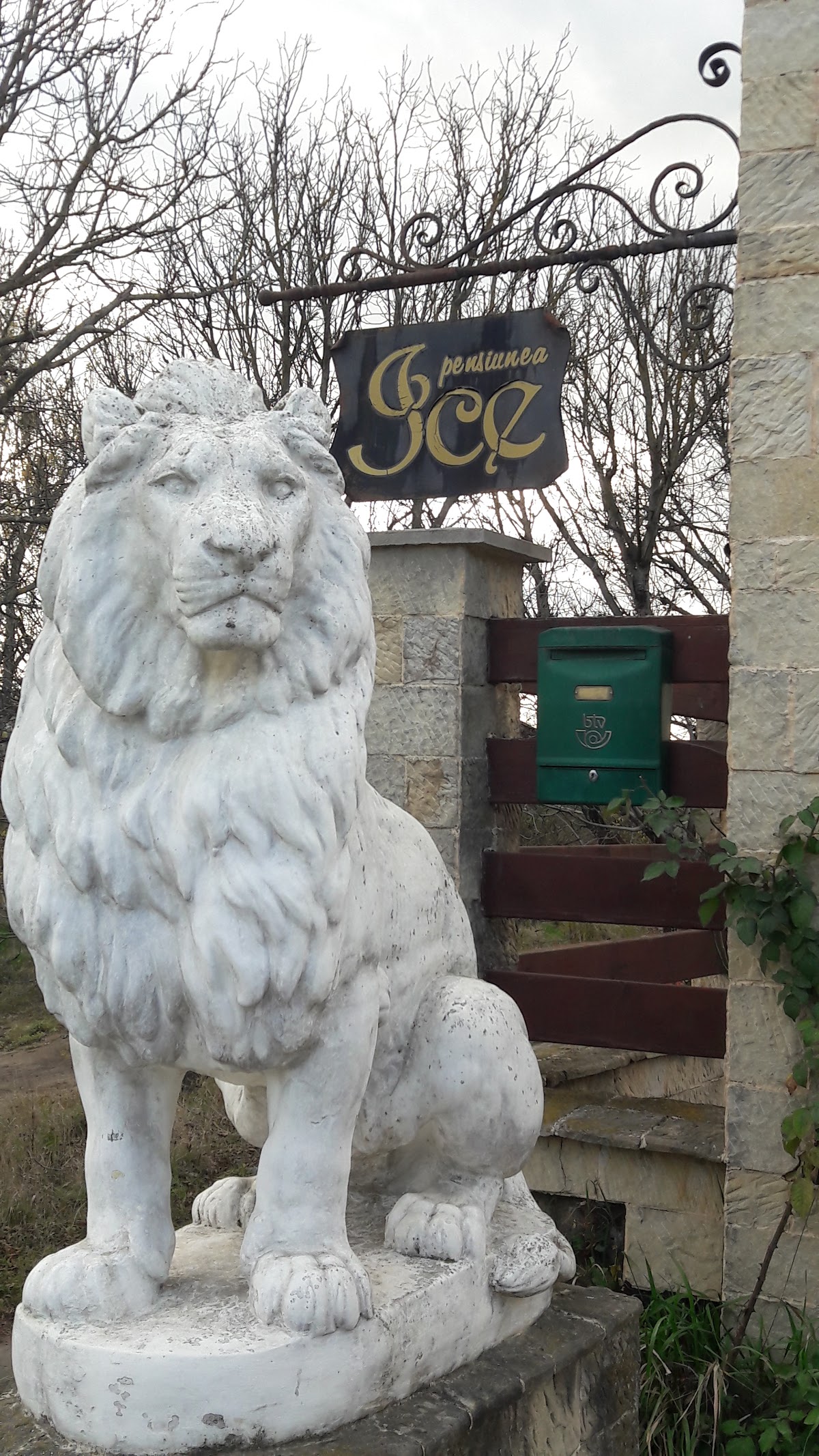 Pensiunea Ice - foto 4