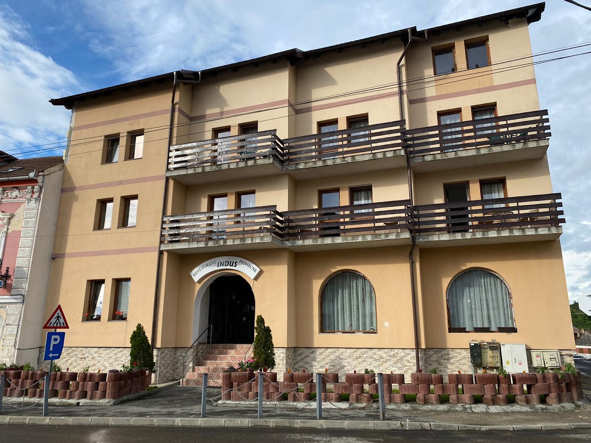 Pensiunea Indus Hotel - foto 4