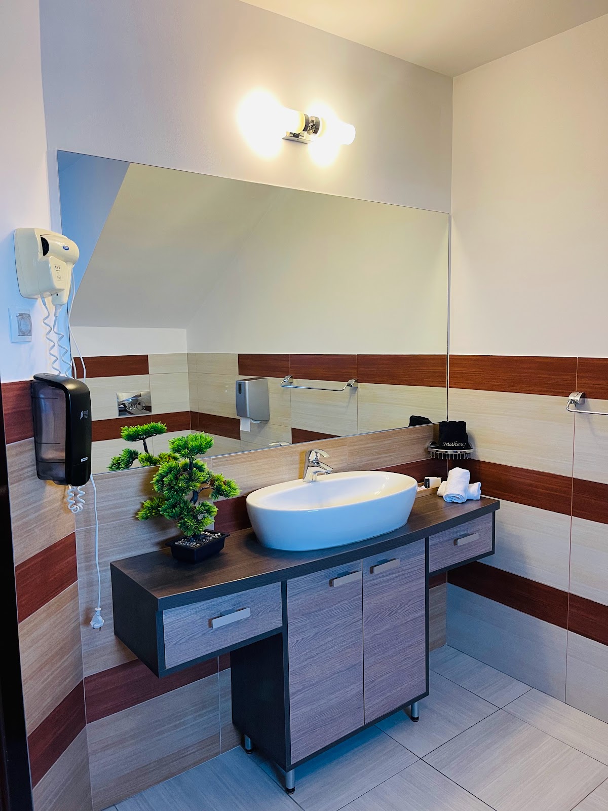 Pensiunea Ioana - foto 3