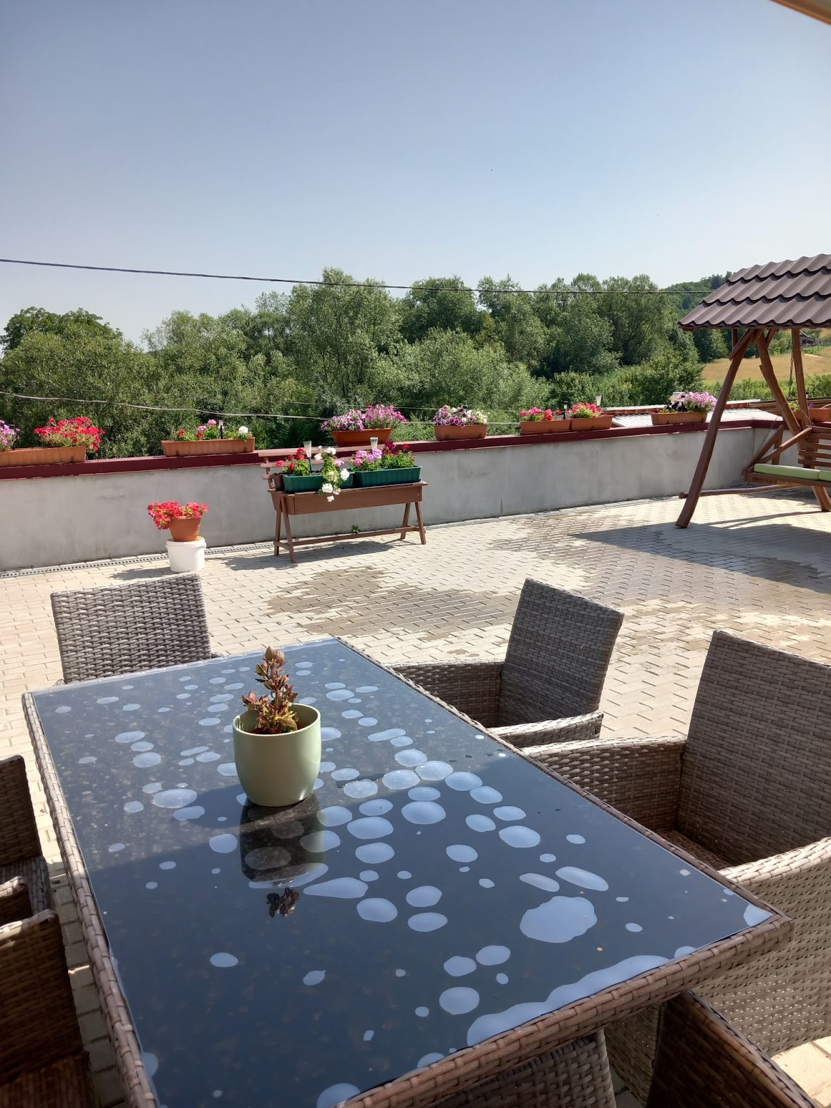 Pensiunea Ioana Turnu Rosu - foto 1