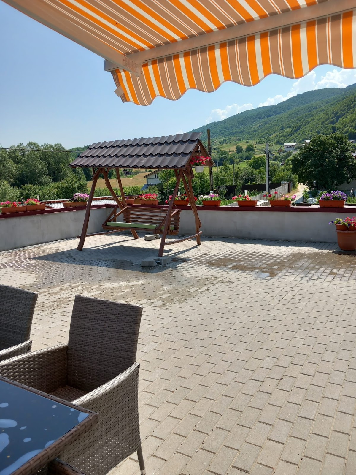 Pensiunea Ioana Turnu Rosu - foto 3