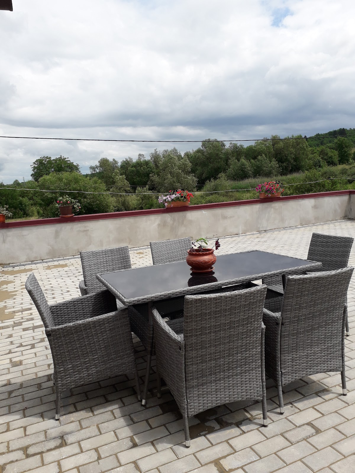 Pensiunea Ioana Turnu Rosu - foto 5