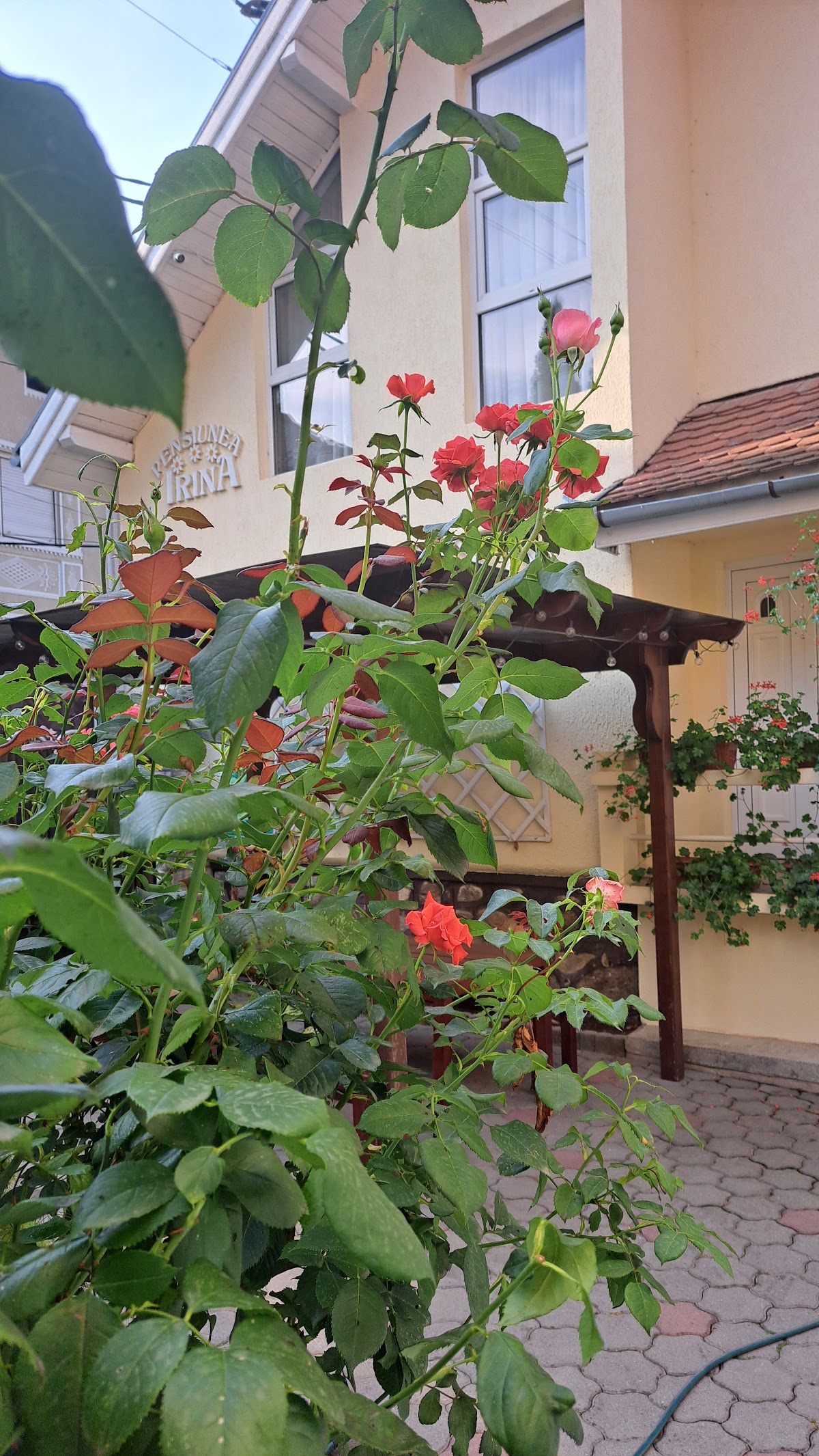 Pensiunea Irina - foto 3