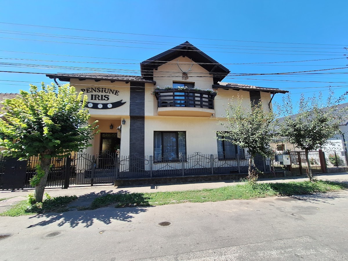 Pensiunea Iris - foto 1