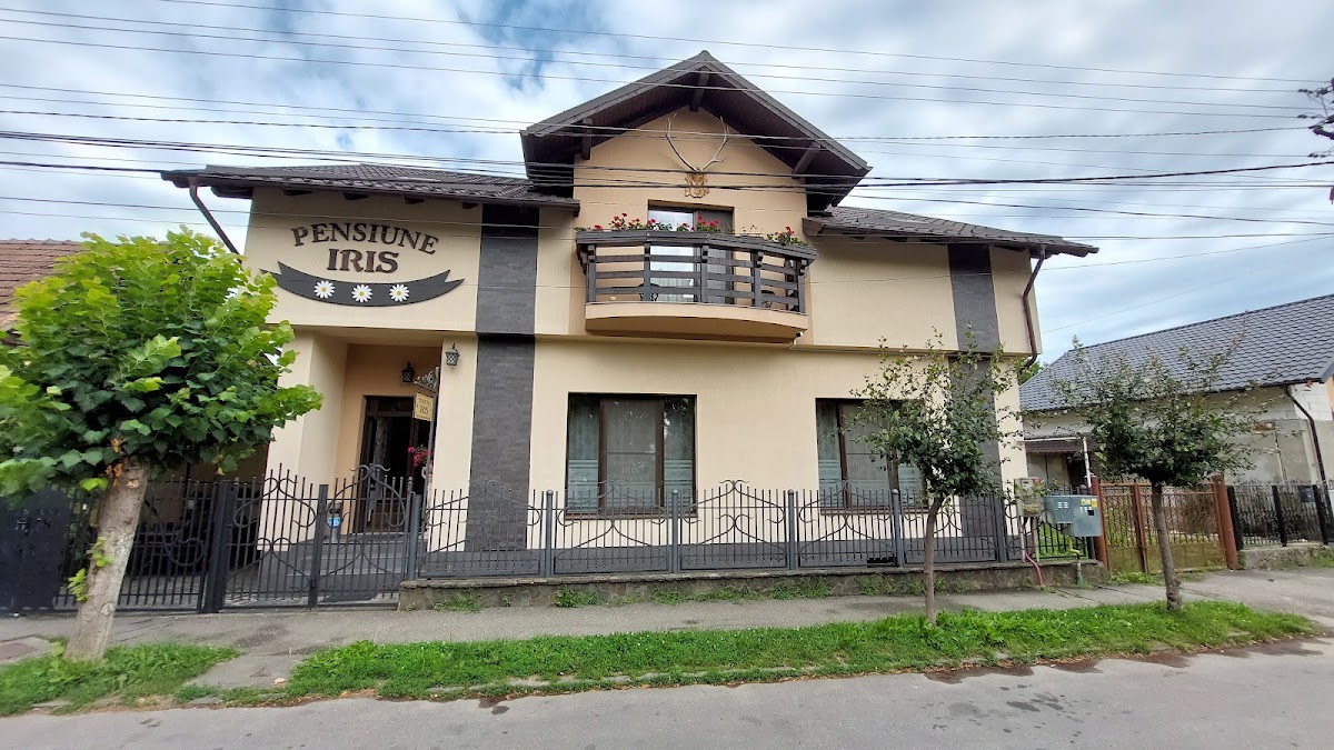 Pensiunea Iris - foto 3