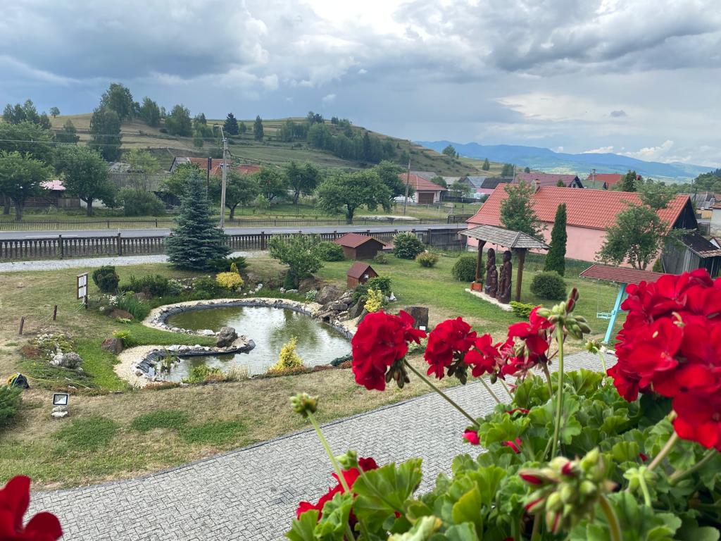 Pensiunea Kárpátia - foto 4