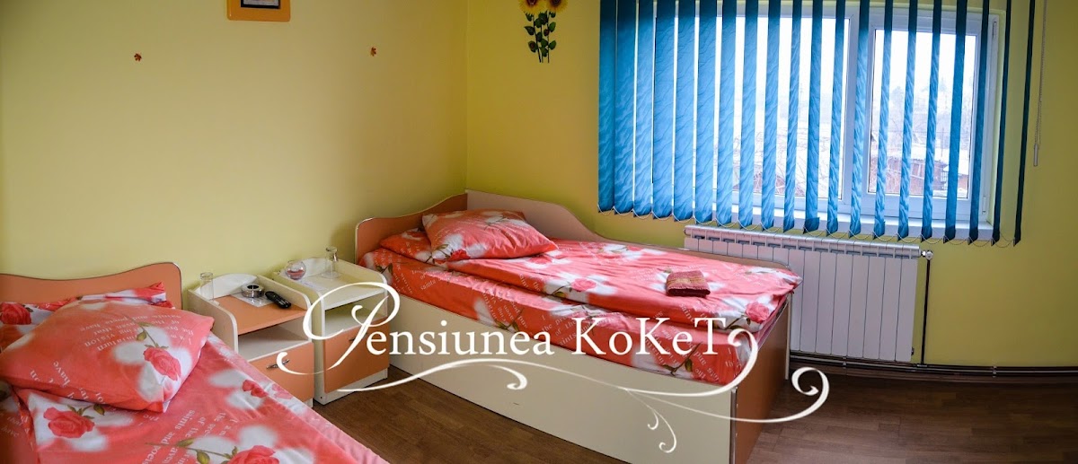 Pensiunea Koket - foto 2