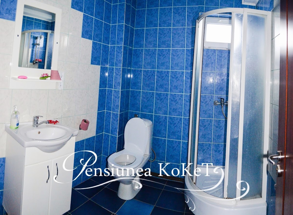 Pensiunea Koket - foto 4