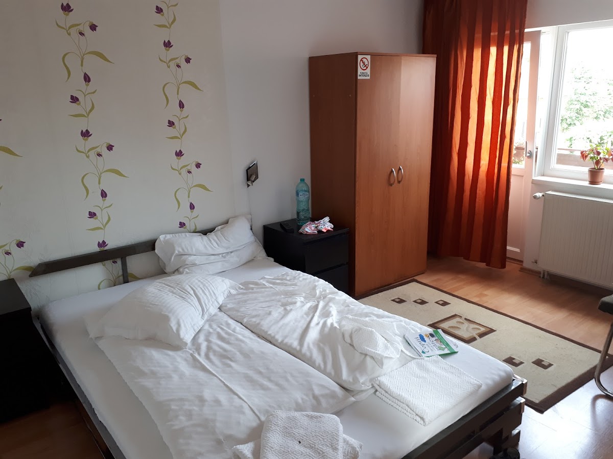 Pensiunea Kristine - foto 2