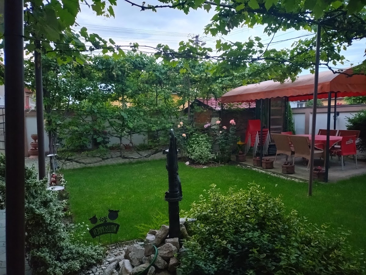 Pensiunea Kristine - foto 3