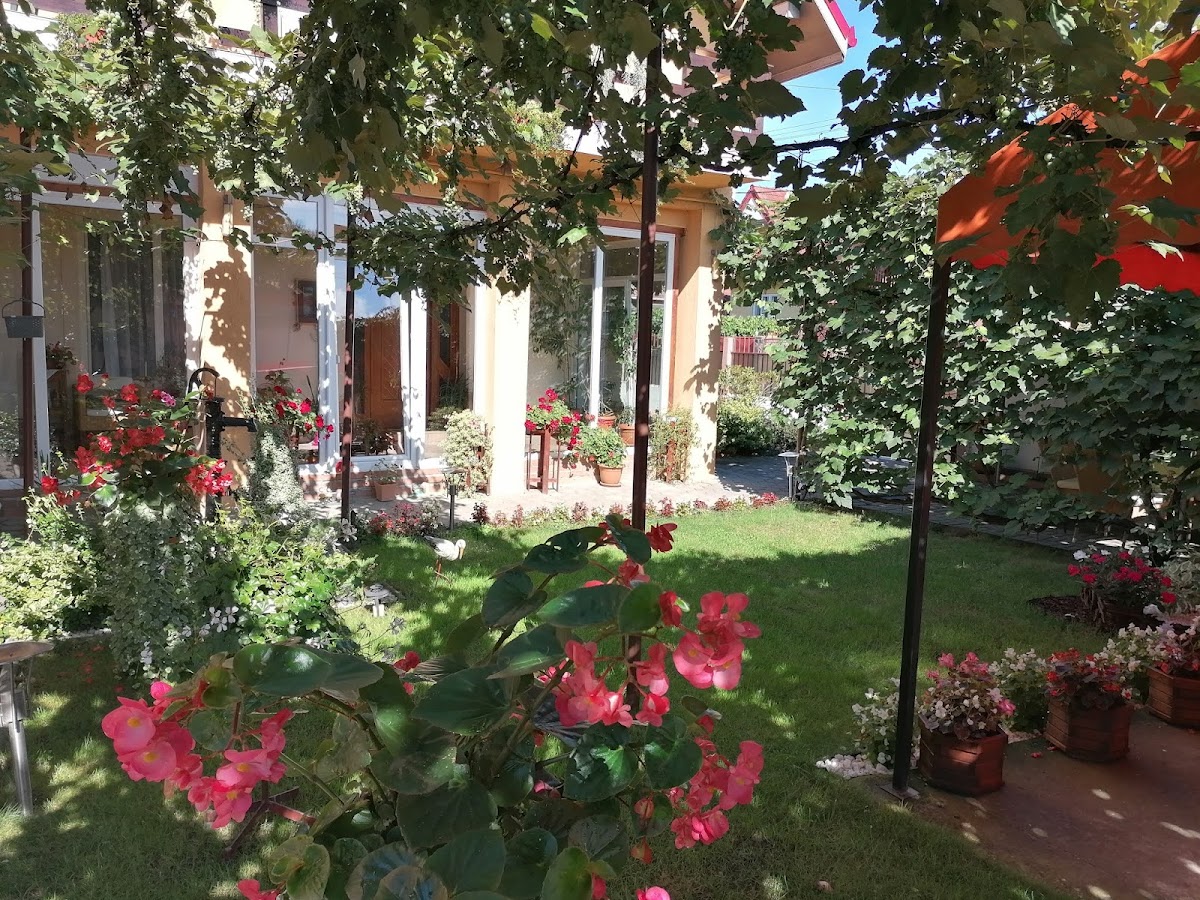 Pensiunea Kristine - foto 4